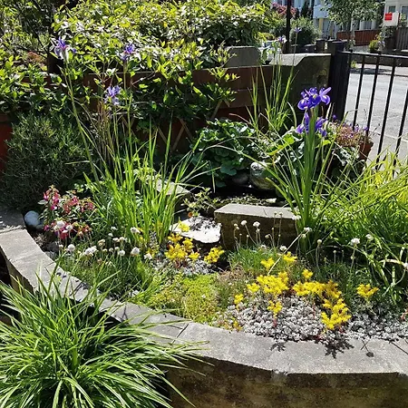 Wynnstay House Pensionat